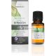 Terpenic Estragon, 5 ml